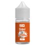 I GOLOSI GELATO ALLA VANIGLIA AROMA MIX 10+10