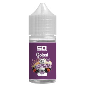 I GOLOSI CHEESECAKE AI FRUTTI DI BOSCO AROMA MIX 10+10