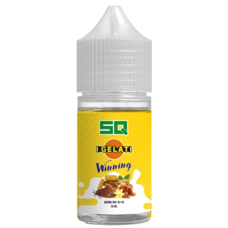 I GELATI WINNING AROMA MIX 10+10