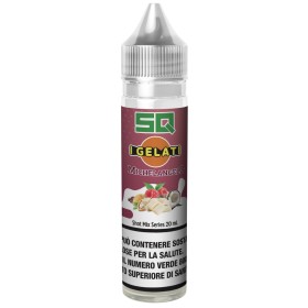 I GELATI MICHELANGELO SHOT 20ML